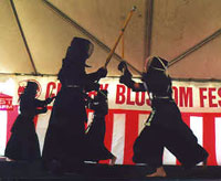 Cherry Blossom Festival Kendo