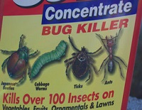 Bug Killer