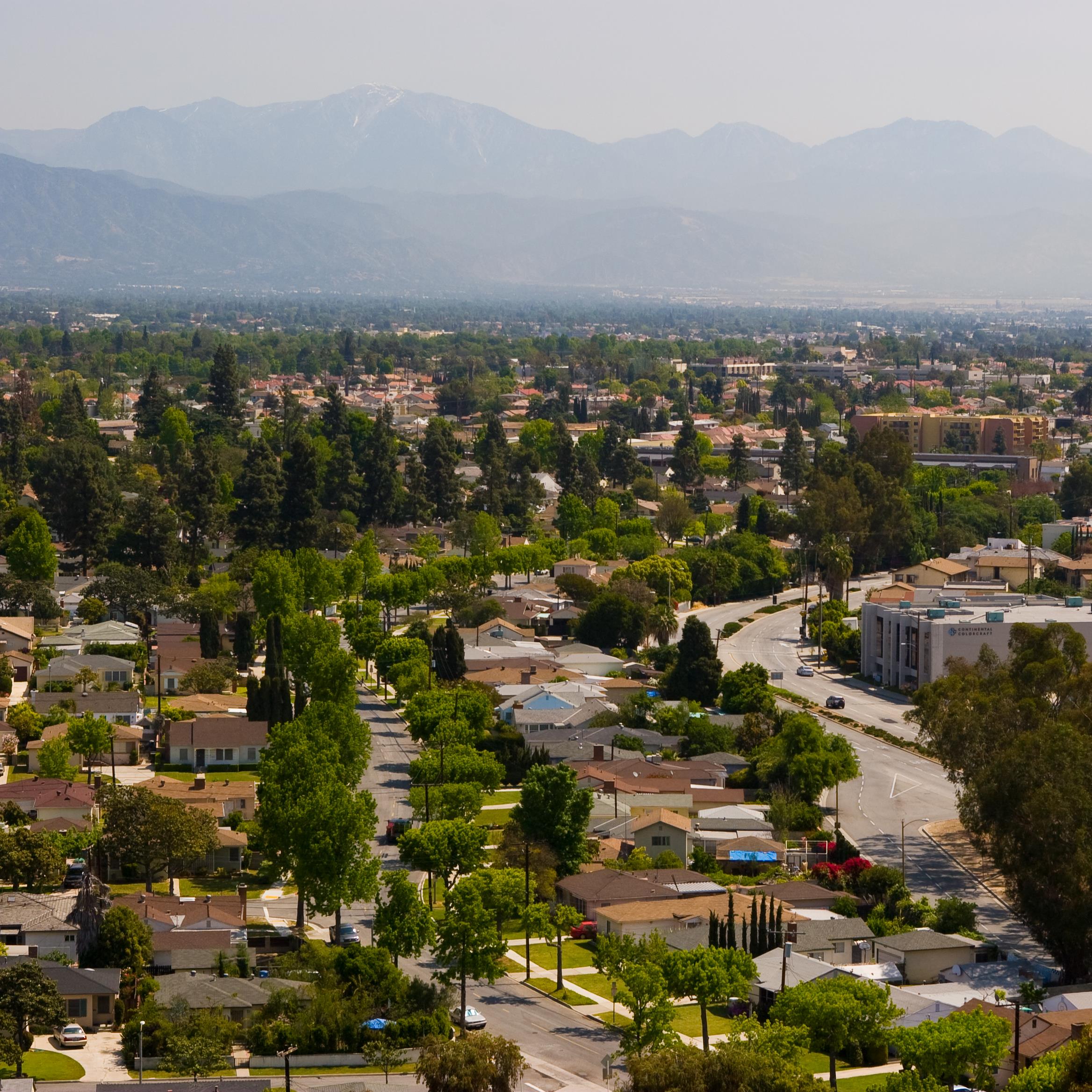 Ricks pic. 2008-1 (81)