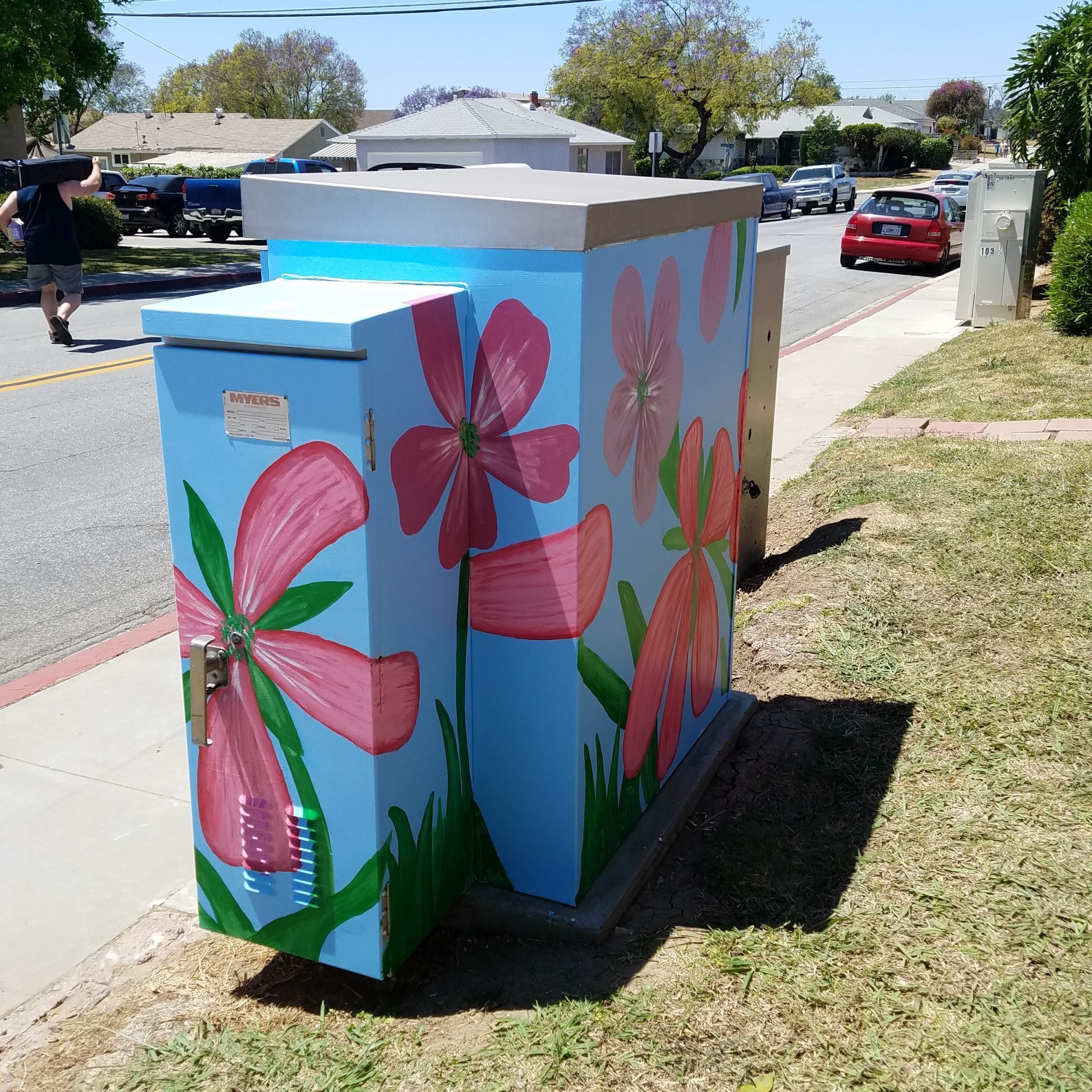 Electrical box Beautification project by Macy Intermediate students at Elmgate and Garfield May 2017