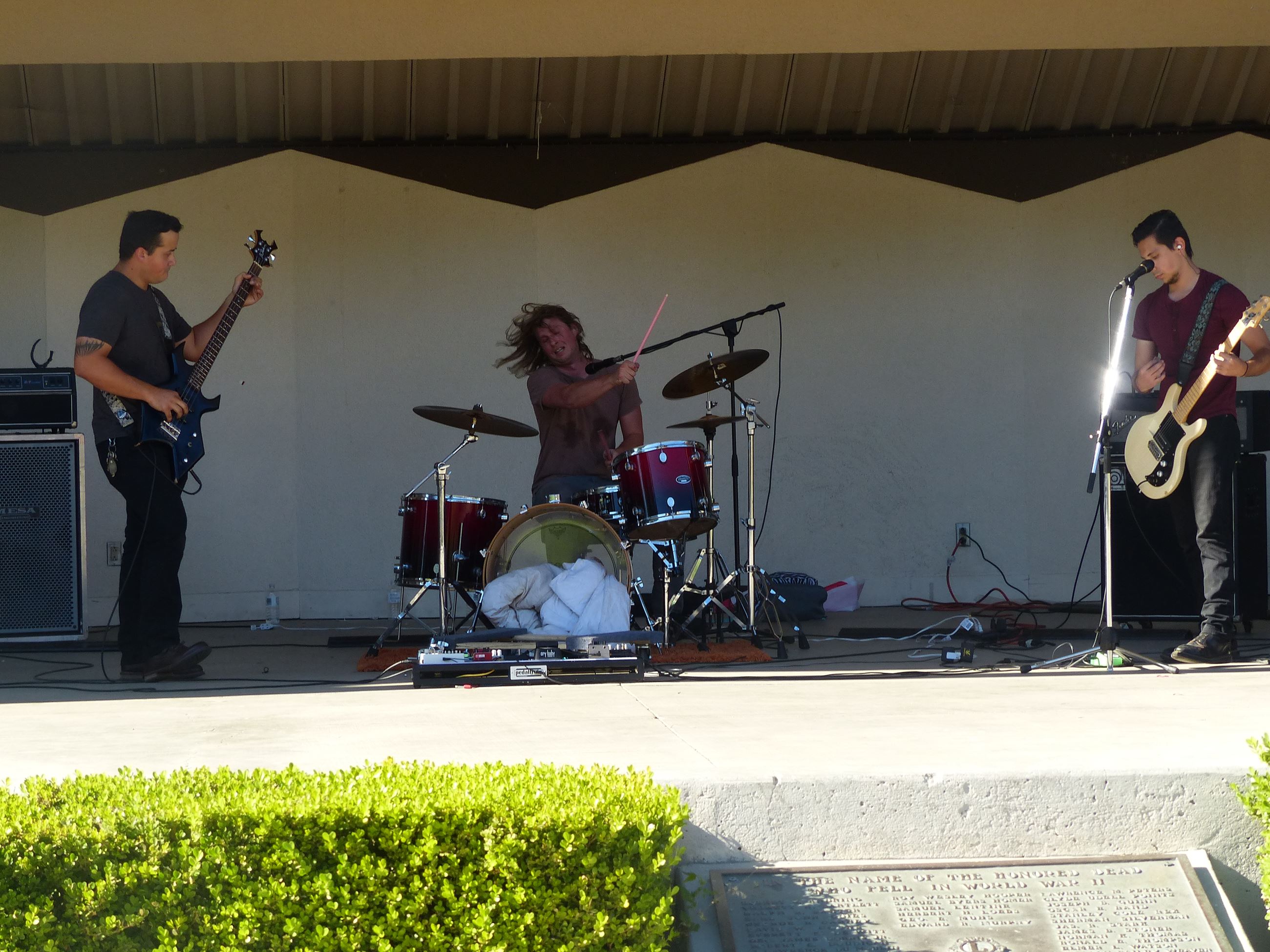 Geranium Festival 2016 (1)