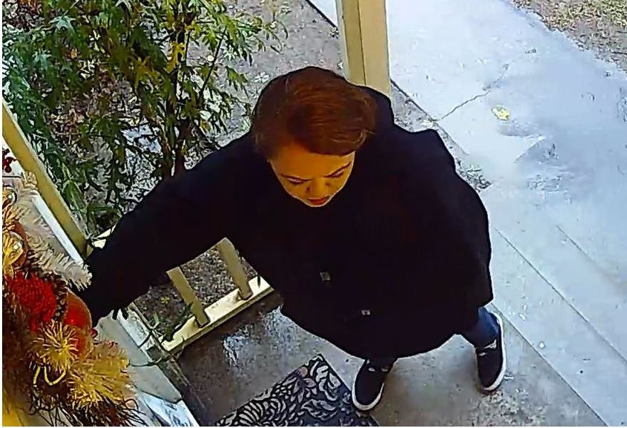 Package Theft Suspect