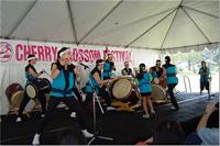 Cherry Blossom Festival drummers